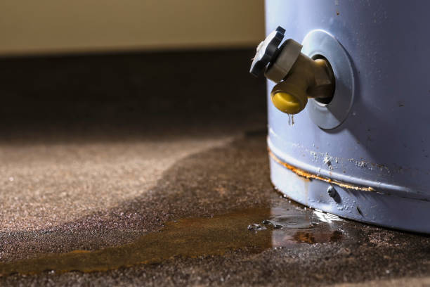 Best Crawl Space Water Damage Solutions in Walnut Hill, TN